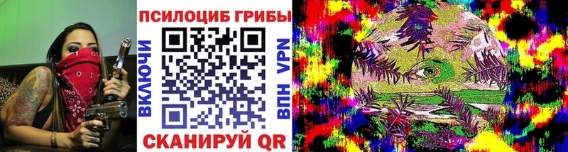 OMG ссылка  Волгореченск  Псилоцибиновые грибы GOLDEN TEACHER  сколько стоит 